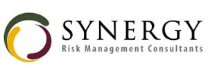Synergy Risk Management Consultant